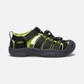 Keen | Big Kids' Newport H2-Black/Lime Green