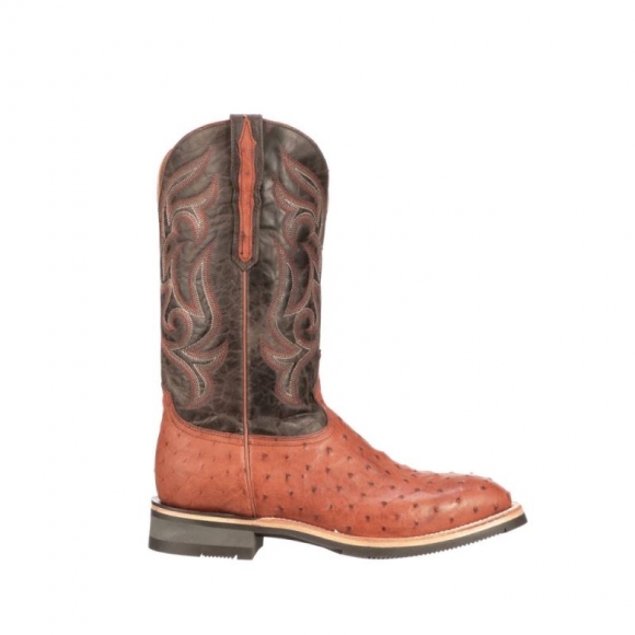 Lucchese Men's Rowdy Ostrich - Cognac + Brown | Canada Outlet