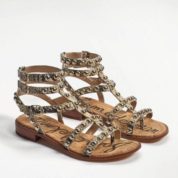 Sam Edelman | Men's Eavan Studded Gladiator Sandal-Beach Multi Snake