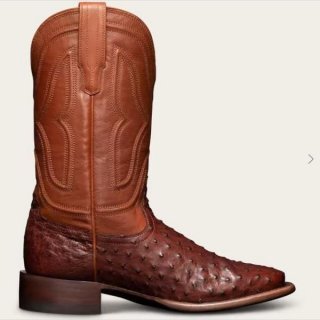 Men's Tecovas The Emmitt-Mahogany Ostrich